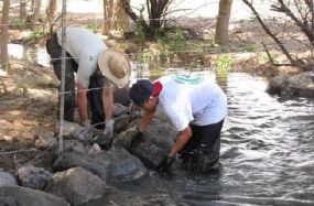 Indigenous Youth (SFIS Students) Help USFWS Restore Fish Passage on Cochiti Pueblo